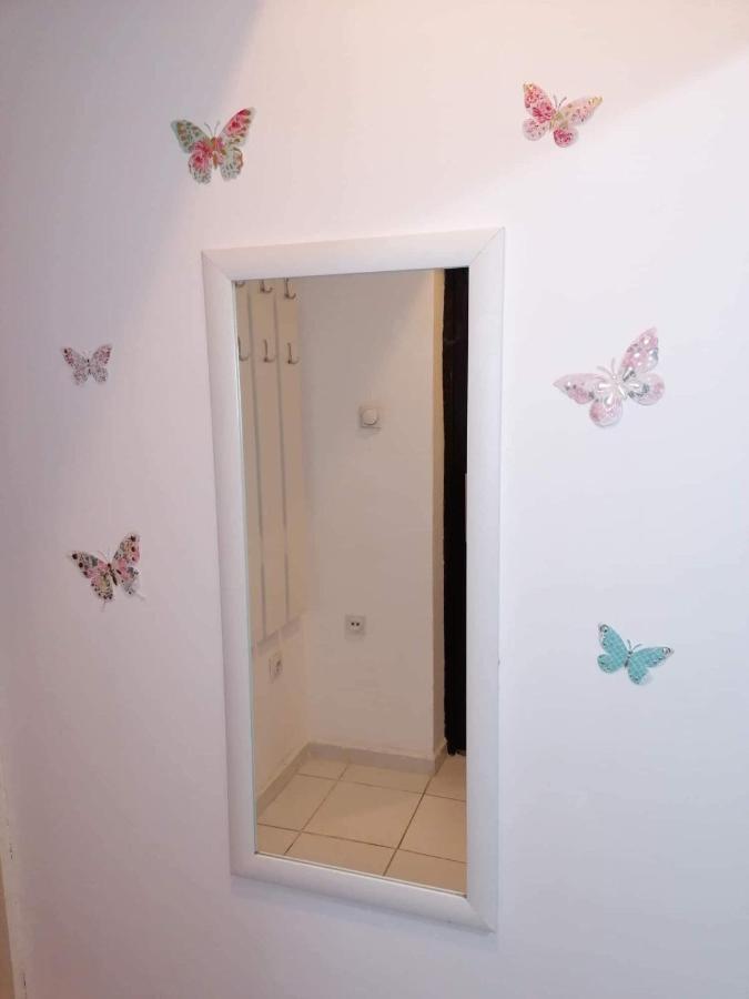 Jednosoban Stan Centar Apartment Pirot Exterior photo